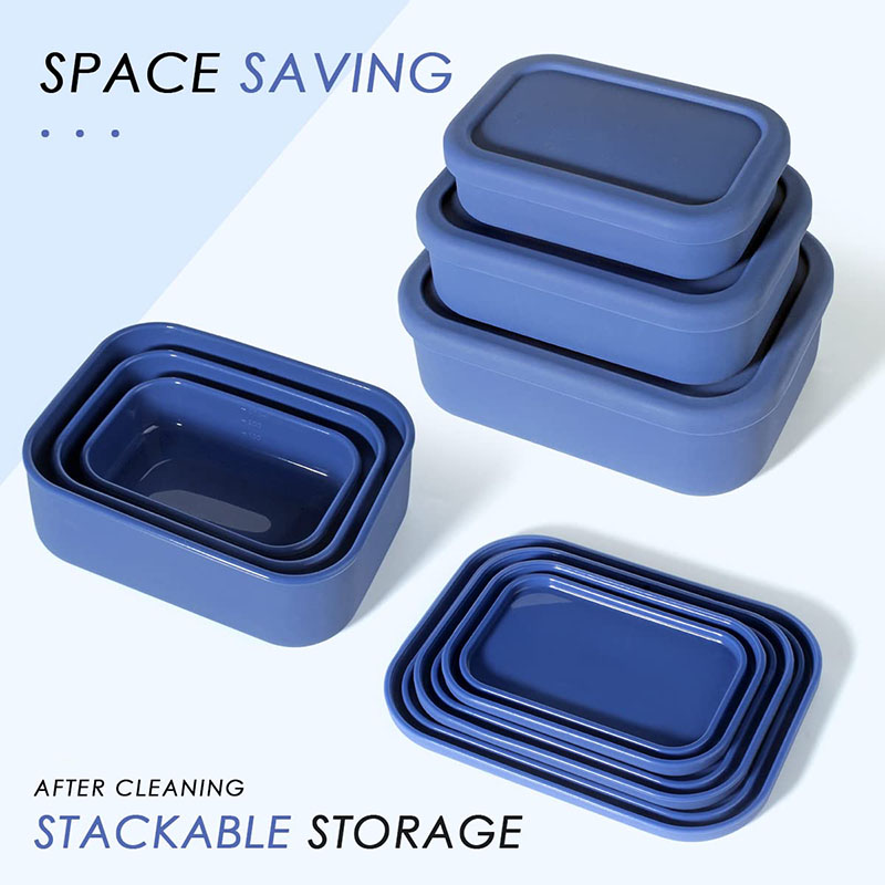 Leak-Resistant Bento Lunch Box - огляд і ціна Meal Prep Kitchen