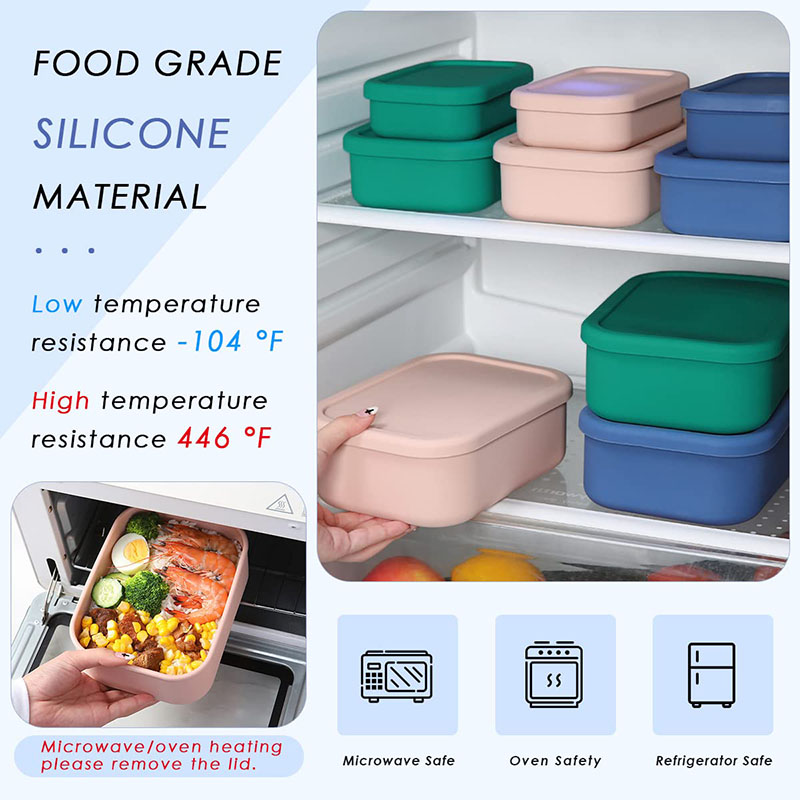 Leak-Resistant Bento Lunch Box - огляд і ціна Meal Prep Kitchen